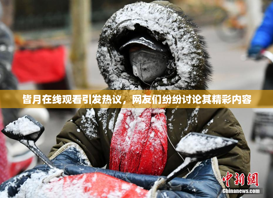 皆月在线观看引发热议，网友们纷纷讨论其精彩内容