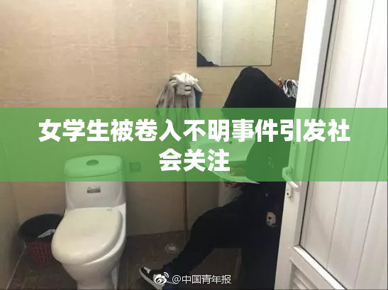 女学生被卷入不明事件引发社会关注