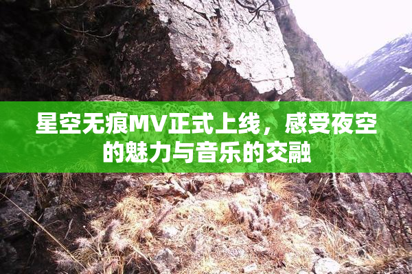 星空无痕MV正式上线，感受夜空的魅力与音乐的交融