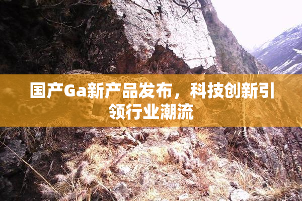 国产Ga新产品发布，科技创新引领行业潮流