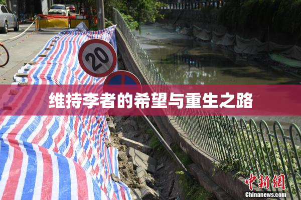 维持李者的希望与重生之路