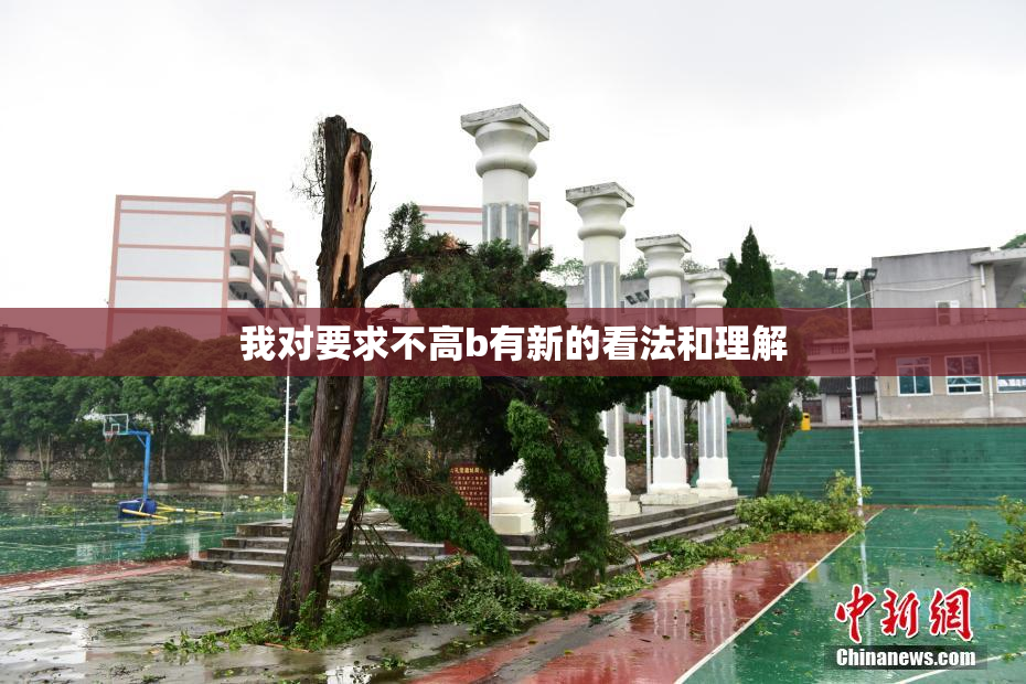 我对要求不高b有新的看法和理解