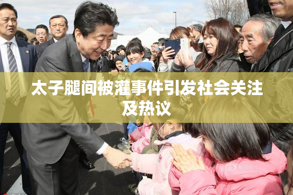 太子腿间被灌事件引发社会关注及热议