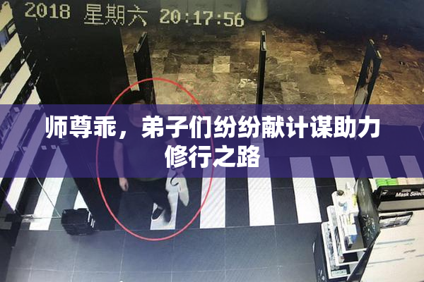 师尊乖，弟子们纷纷献计谋助力修行之路