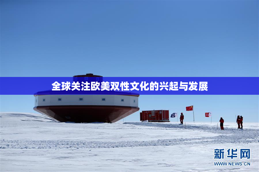 全球关注欧美双性文化的兴起与发展
