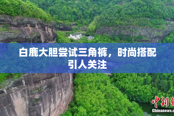 白鹿大胆尝试三角裤，时尚搭配引人关注