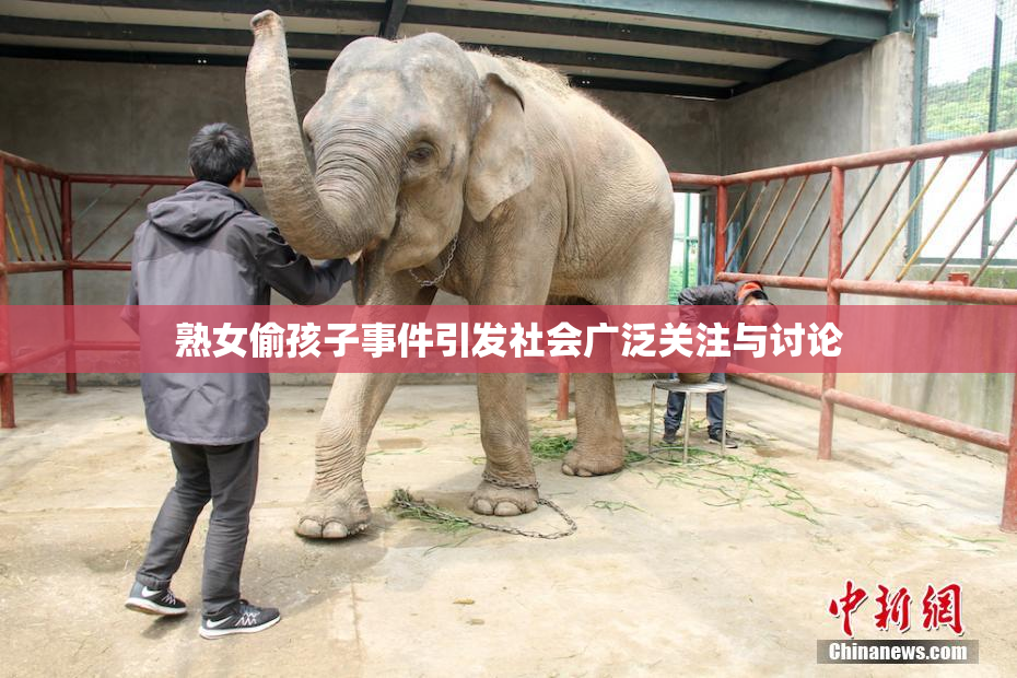 熟女偷孩子事件引发社会广泛关注与讨论
