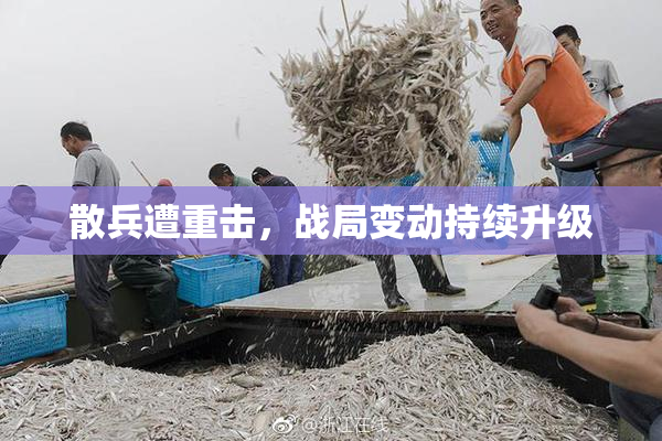 散兵遭重击，战局变动持续升级