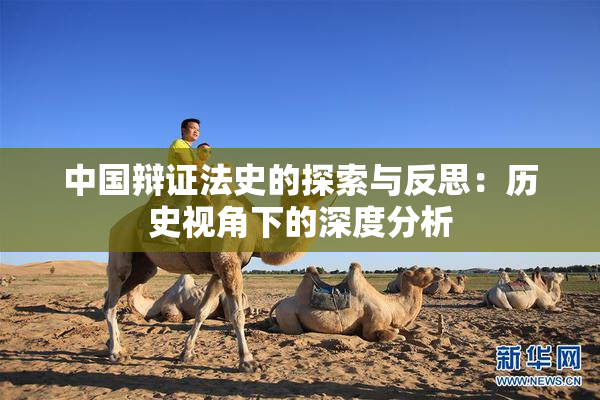 中国辩证法史的探索与反思：历史视角下的深度分析