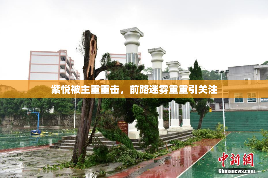 紫悦被主重重击，前路迷雾重重引关注