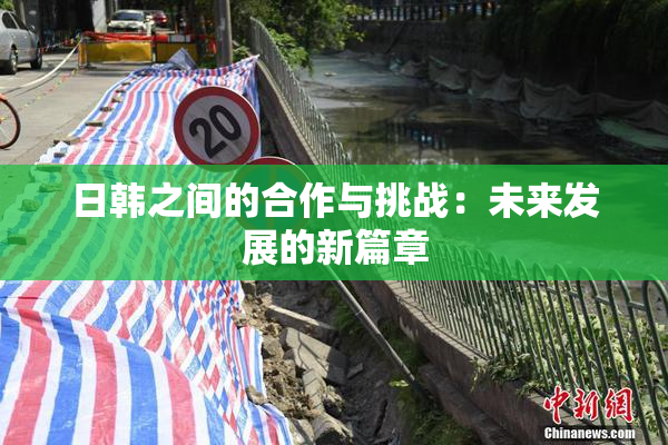 日韩之间的合作与挑战：未来发展的新篇章