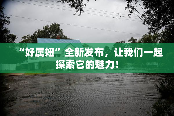 “好属妞”全新发布，让我们一起探索它的魅力！