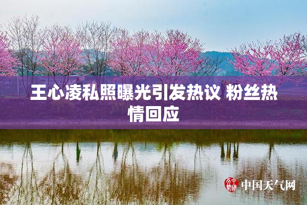 王心凌私照曝光引发热议 粉丝热情回应