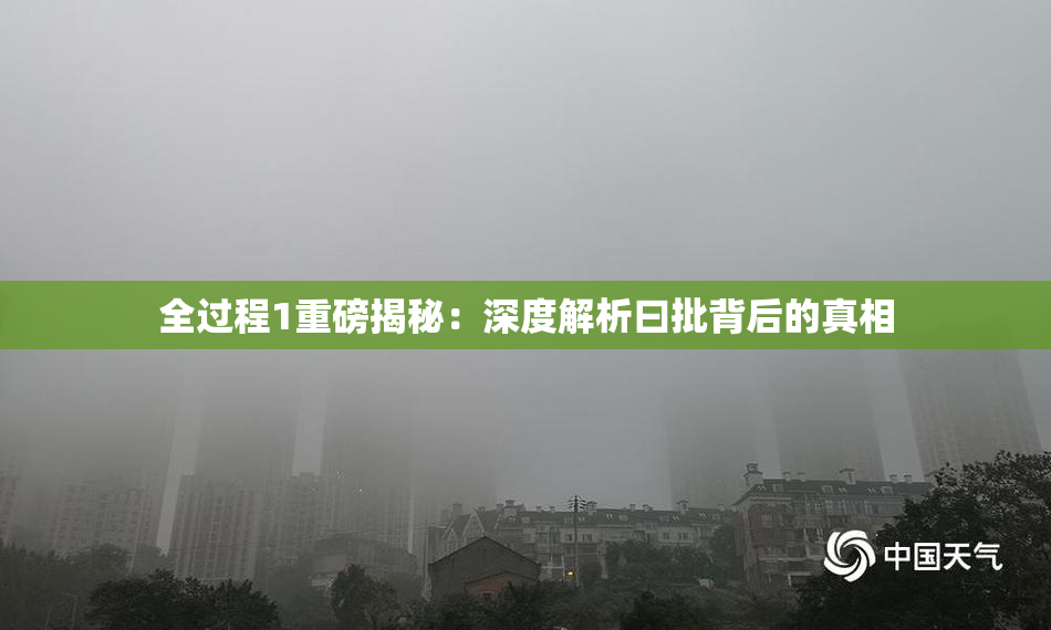全过程1重磅揭秘：深度解析曰批背后的真相