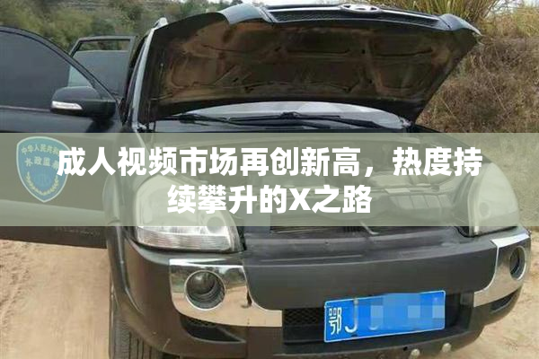 成人视频市场再创新高，热度持续攀升的X之路