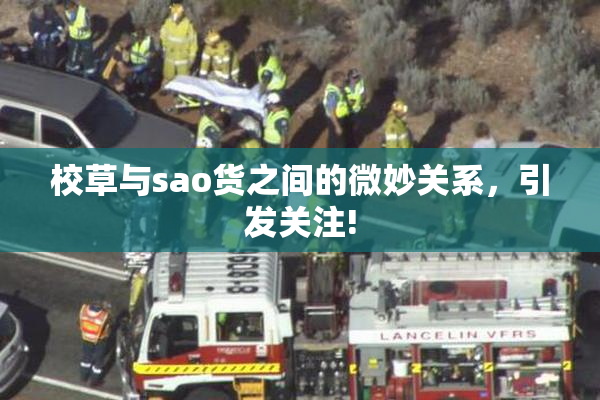 校草与sao货之间的微妙关系，引发关注!
