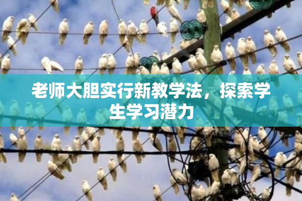 老师大胆实行新教学法，探索学生学习潜力