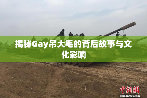 揭秘Gay吊大毛的背后故事与文化影响