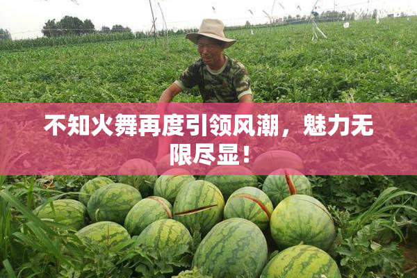 不知火舞再度引领风潮，魅力无限尽显！