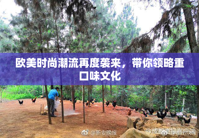 欧美时尚潮流再度袭来，带你领略重口味文化