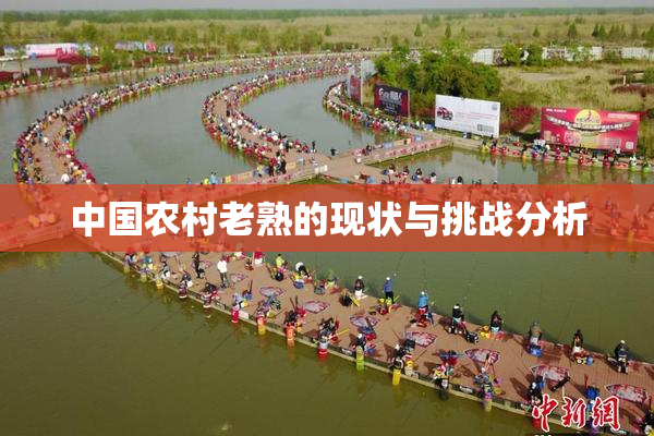 中国农村老熟的现状与挑战分析