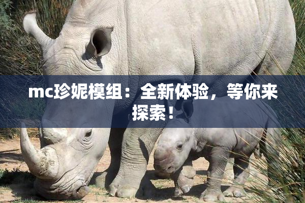 mc珍妮模组：全新体验，等你来探索！