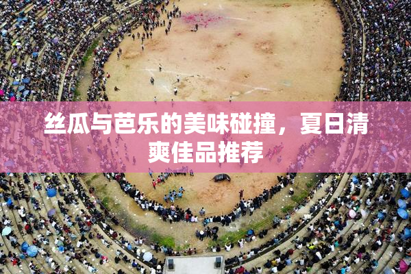 丝瓜与芭乐的美味碰撞，夏日清爽佳品推荐