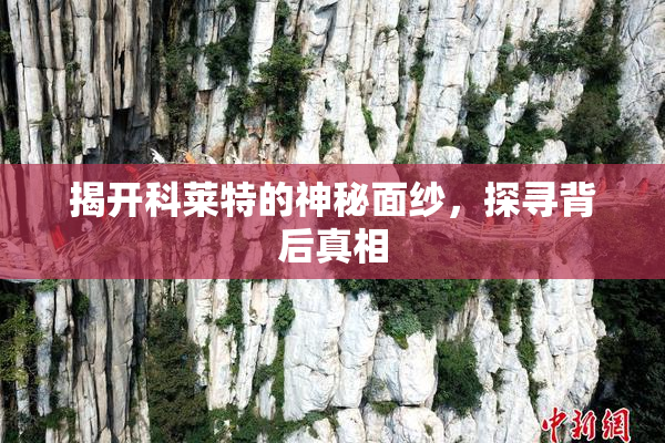 揭开科莱特的神秘面纱，探寻背后真相