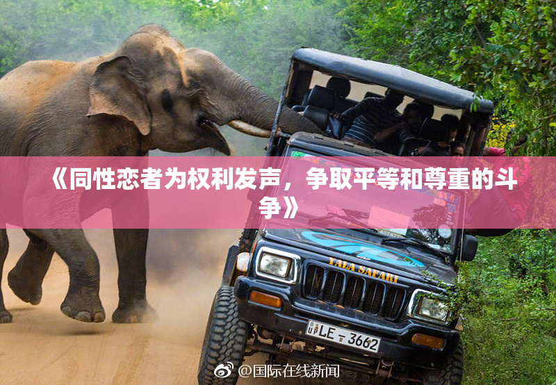 《同性恋者为权利发声，争取平等和尊重的斗争》