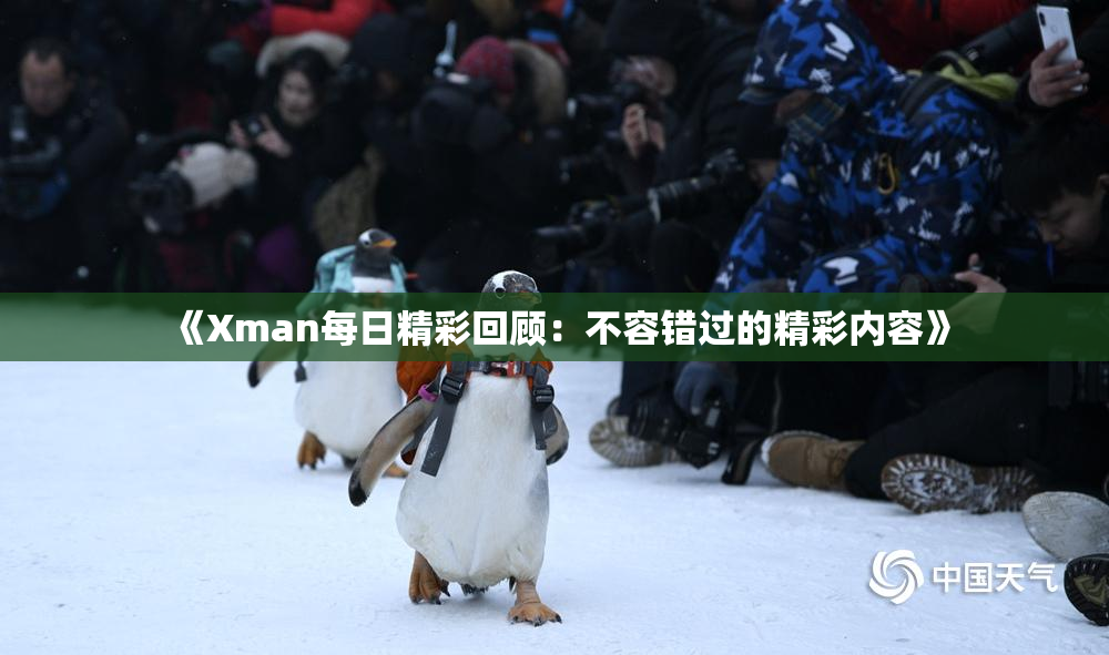 《Xman每日精彩回顾：不容错过的精彩内容》