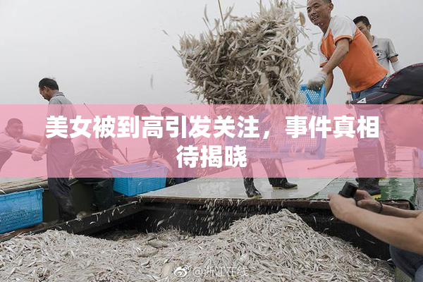 美女被到高引发关注，事件真相待揭晓