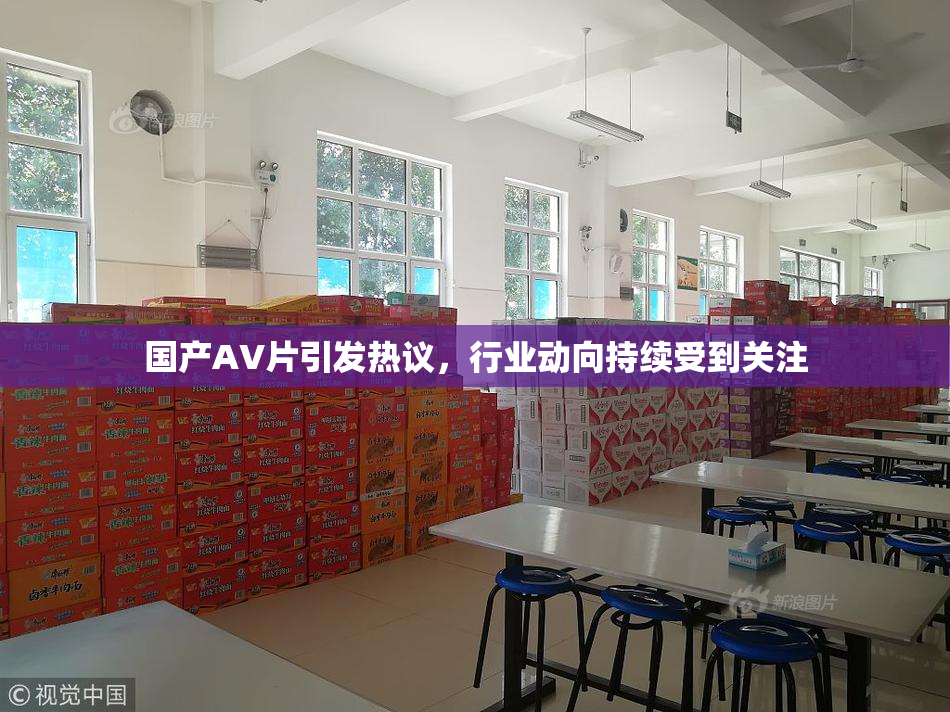 国产AV片引发热议，行业动向持续受到关注