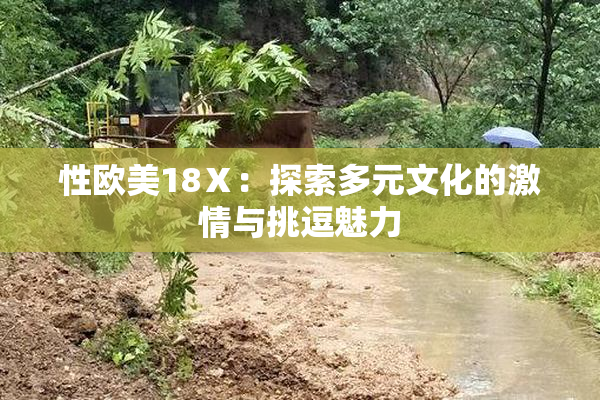 性欧美18Ⅹ：探索多元文化的激情与挑逗魅力