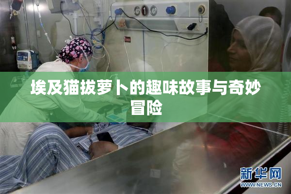 埃及猫拔萝卜的趣味故事与奇妙冒险