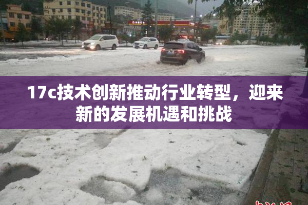 17c技术创新推动行业转型，迎来新的发展机遇和挑战