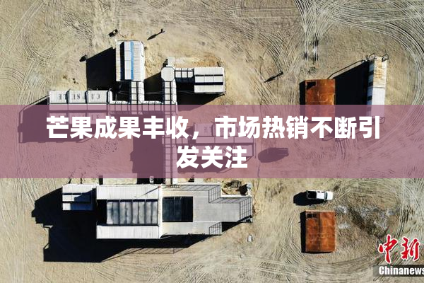 芒果成果丰收，市场热销不断引发关注