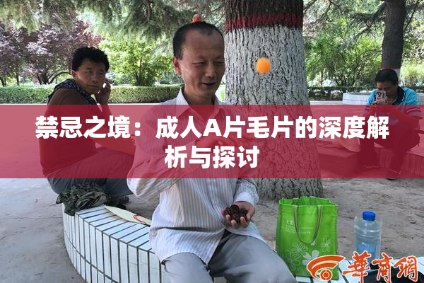 禁忌之境：成人A片毛片的深度解析与探讨