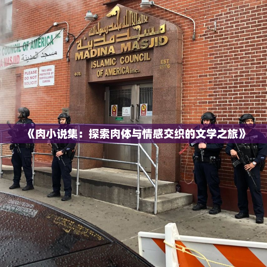 《肉小说集：探索肉体与情感交织的文学之旅》