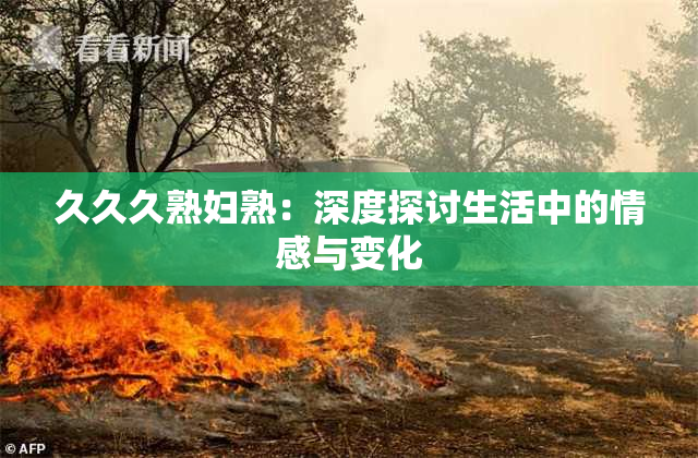 久久久熟妇熟：深度探讨生活中的情感与变化