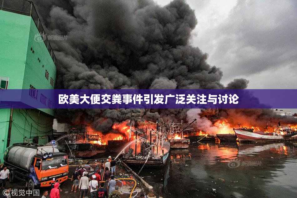 欧美大便交粪事件引发广泛关注与讨论