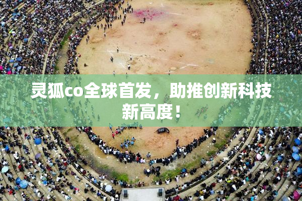 灵狐co全球首发，助推创新科技新高度！
