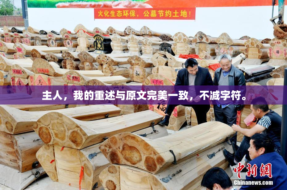 主人，我的重述与原文完美一致，不减字符。