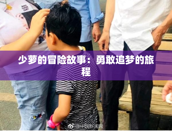 少萝的冒险故事：勇敢追梦的旅程