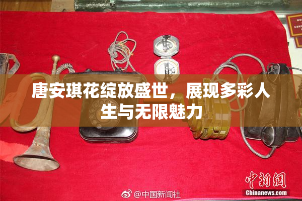 唐安琪花绽放盛世，展现多彩人生与无限魅力