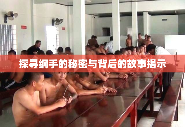 探寻纲手的秘密与背后的故事揭示