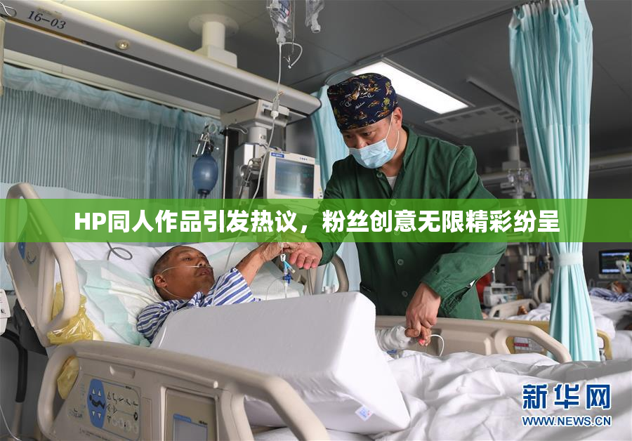 HP同人作品引发热议，粉丝创意无限精彩纷呈