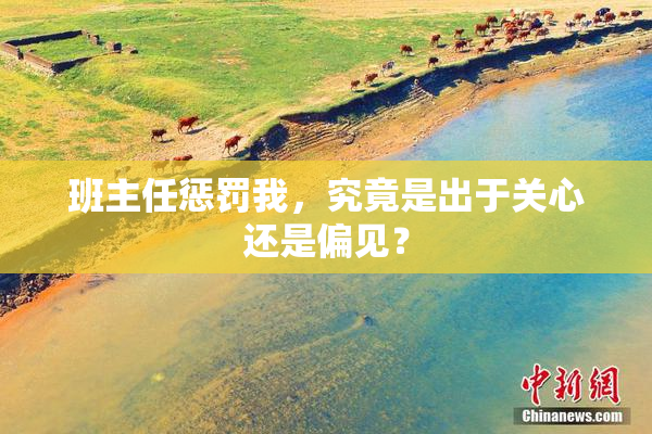 班主任惩罚我，究竟是出于关心还是偏见？