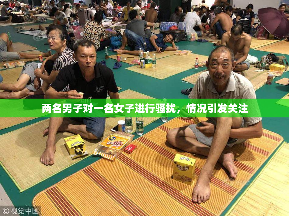 两名男子对一名女子进行骚扰，情况引发关注