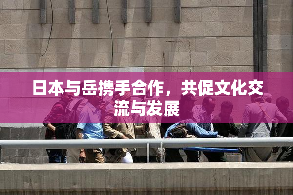日本与岳携手合作，共促文化交流与发展