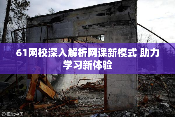 61网校深入解析网课新模式 助力学习新体验